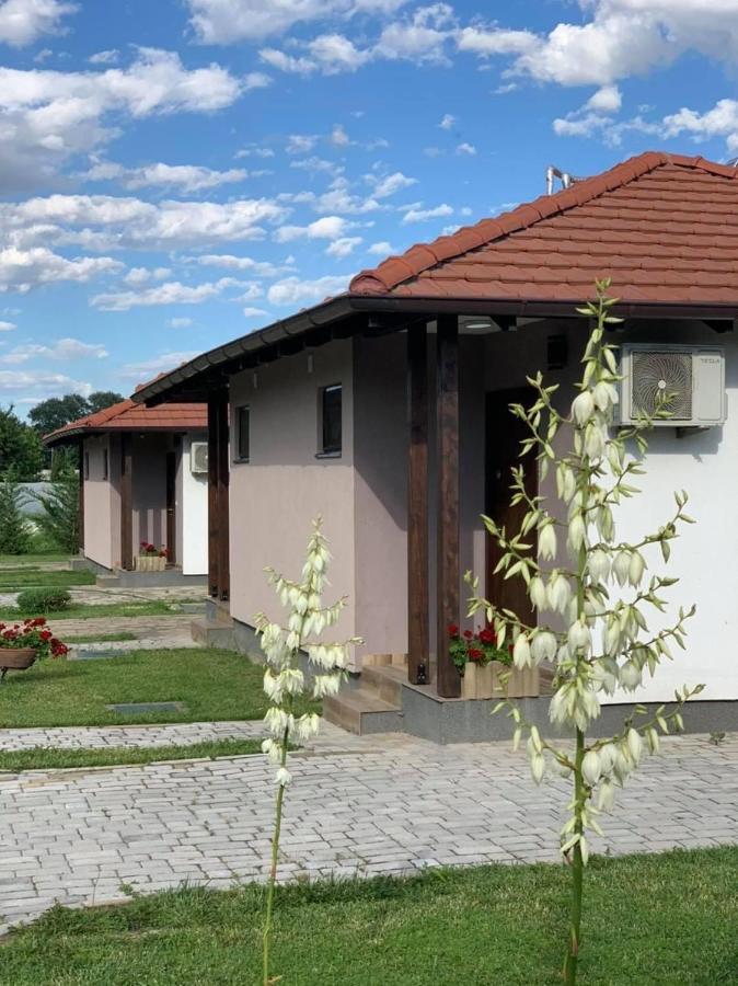 Konak Nestor Bungalows 斯科普里 外观 照片