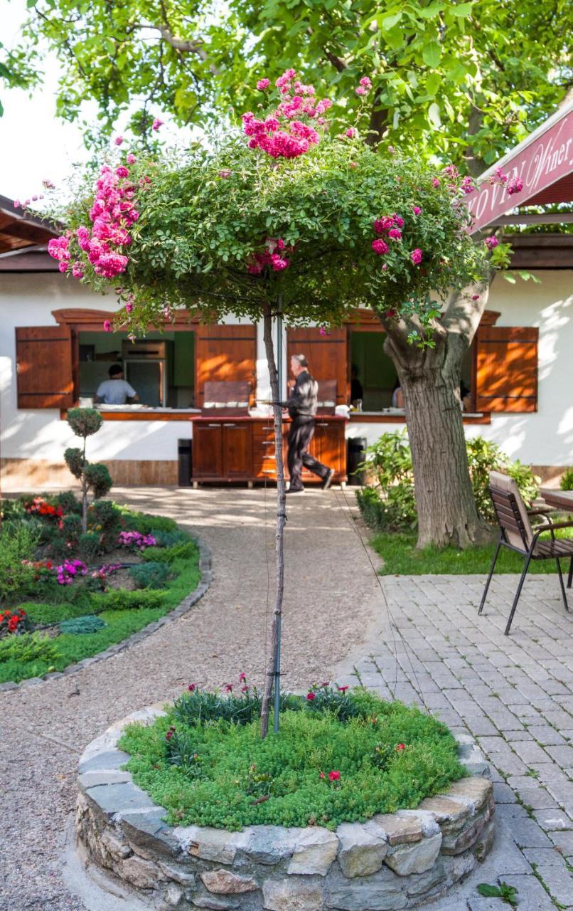 Konak Nestor Bungalows 斯科普里 外观 照片